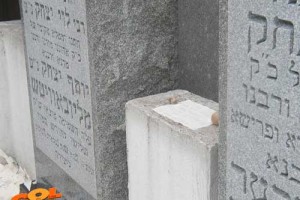 חסידי באבוב על הציון הק'