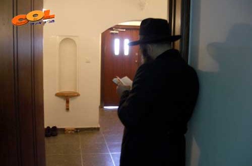 תמונת היום