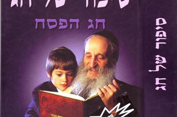150 סטודנטים אירופאים בביקור בלתי-נשכח בישראל