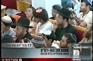 תמונת היום - נווה דקלים