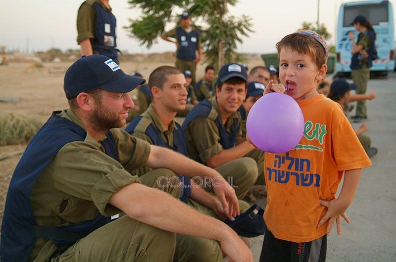 התחדש 