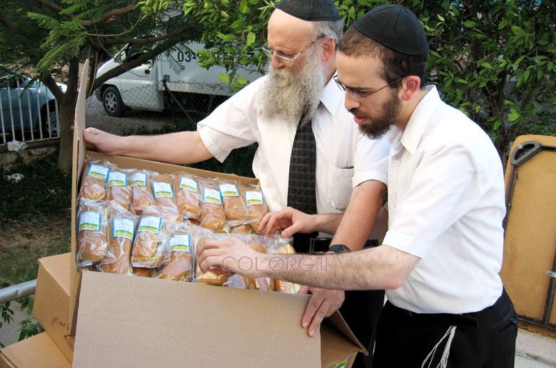 צעירי-חב