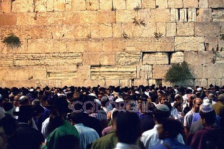 הלכות בית הבחירה כל ערב ברדיו ניו יורק