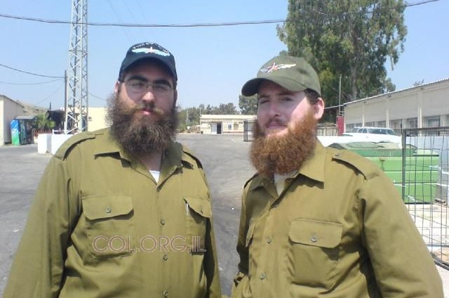 תמונת היום