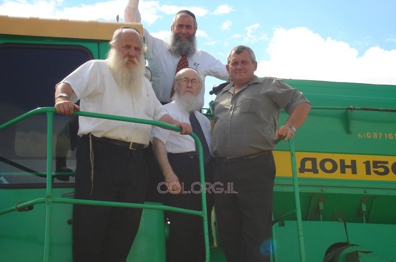 אוקראינה: הרבנים פיקחו על קציר החיטים לפסח