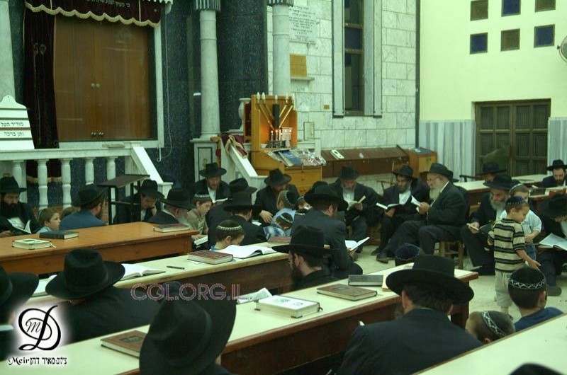 מגילת איכה + הפטרה / אודיו
