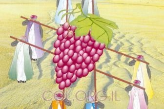 ילדים ב-COL: פרשת שלח ילדים ב-COL: פרשת שלח
