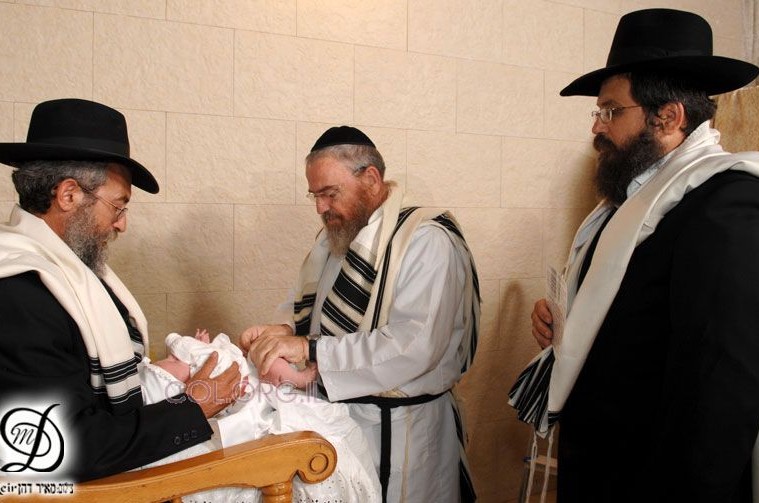 'תמונת היום' 'תמונת היום'