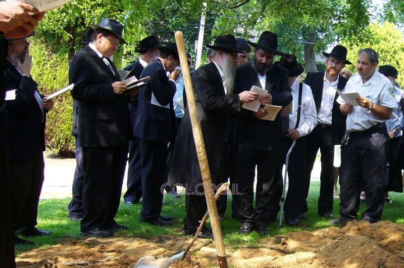 ניו-יורק: מרת בתיה דרימער ע