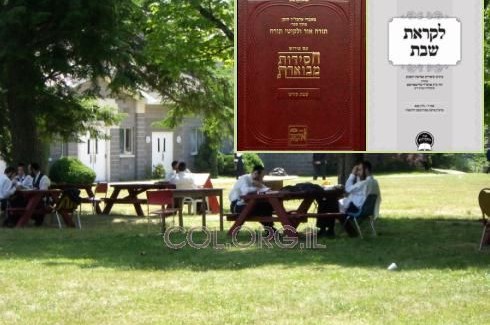 ארה