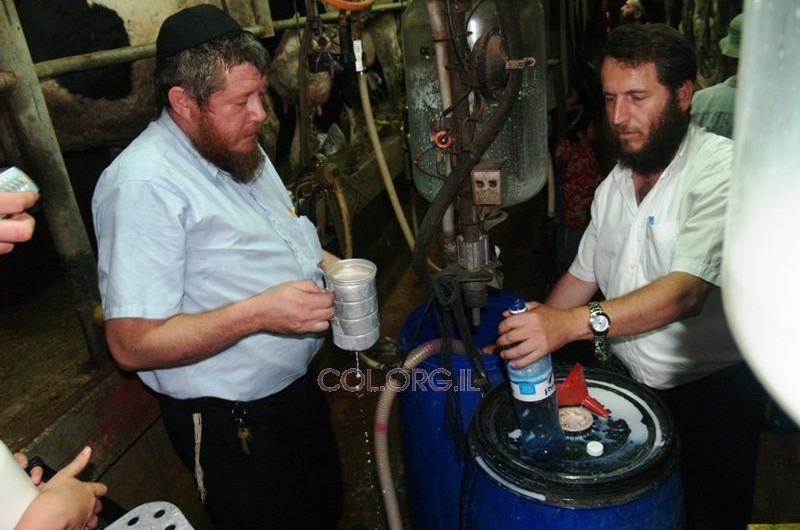 תם עידן הרפתות בכפר-חב