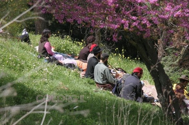חוויות הקבלה ב'אסנט' למבקרים בצפת בהילולת האר