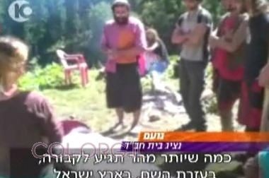 פעיל חב