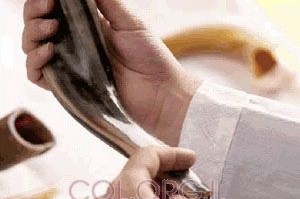 משרד השלוחים: מדריכי תשרי חינם לשלוחים חדשים