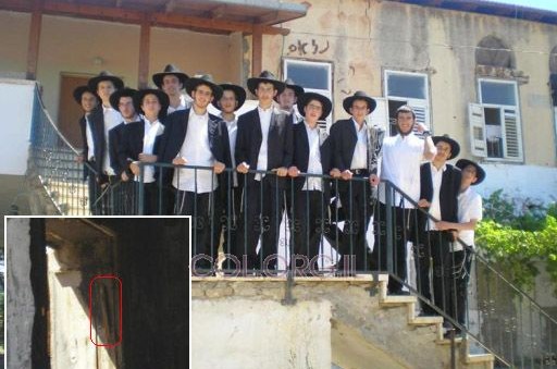 בחזרה לפרדס...