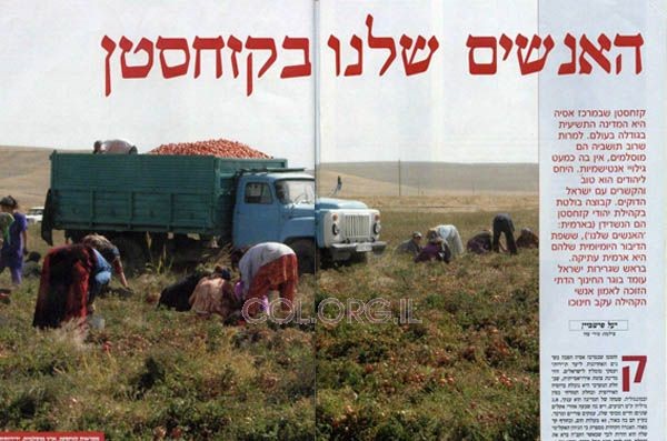 'אתרוג' בכתבה אוהדת על חב