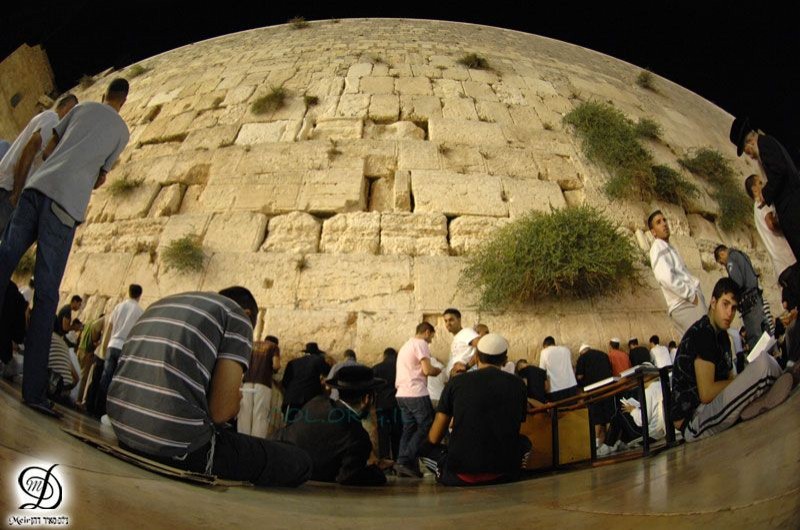 בָּכה תִבְכֶּה בַּלַּיְלָה ● גלריה משריד בית מקדשינו