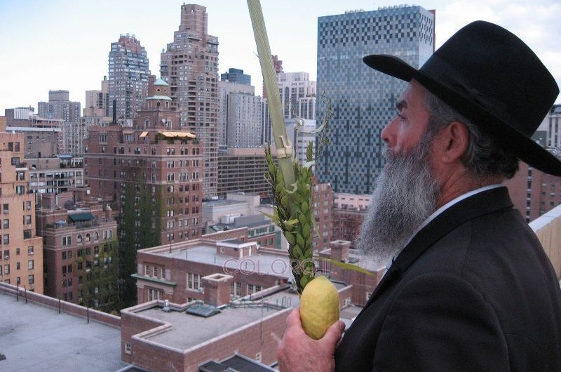 לראשונה באירופה ד' מינים עד הבית לכל דורש 