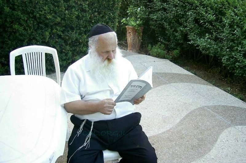 'תמונת היום'