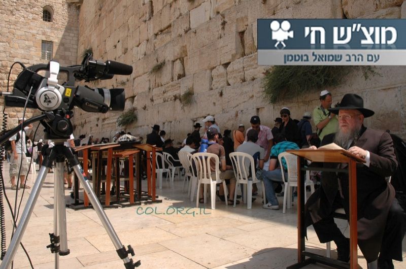 החתונה המסוכנת בבית רבי לוי-יצחק ● תוכנית מיוחדת