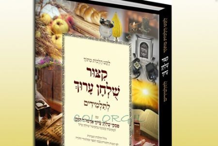 רבני חב