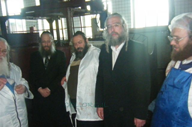 שחיטה מאורגנת כשרה למהדרין במערב אוקראינה
