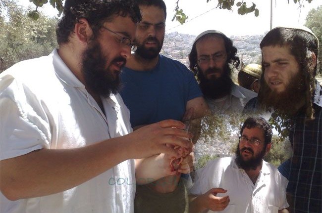 חברון: אברכי הכולל השתלמו ב