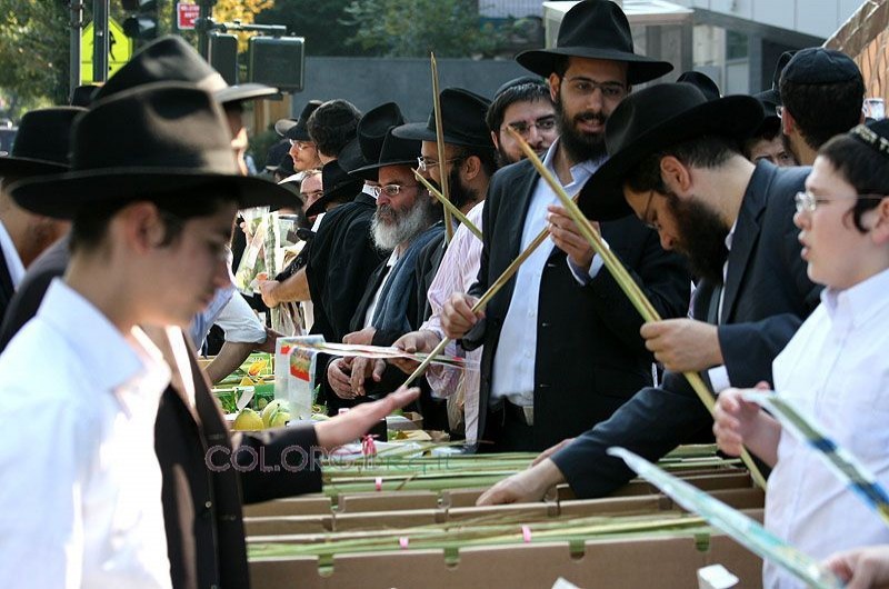 אירופה: גם השנה ניתן להזמין ד' מינים במחירים מוזלים