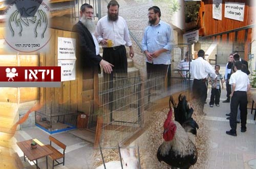 מיזם חדש בביתר עילית: 