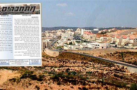עלון חב