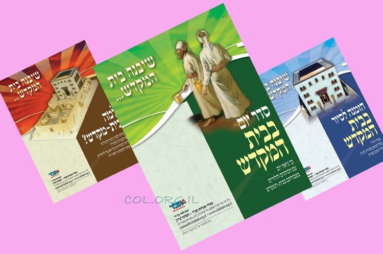 צעירי חב
