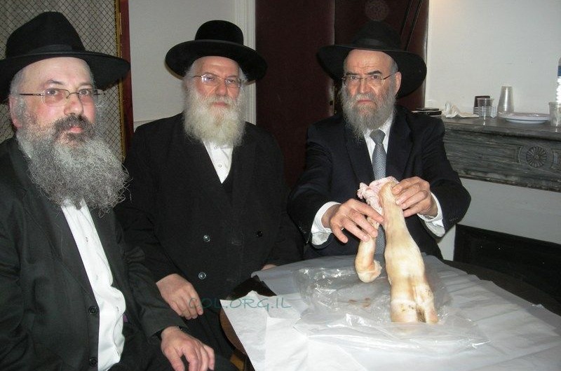 עגל בעל חמש רגליים הובא בפני הרבנים