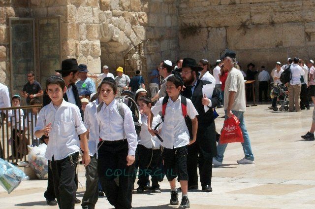 תלמידי ת