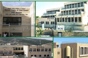 בונים את פסיפס מוסדות חב