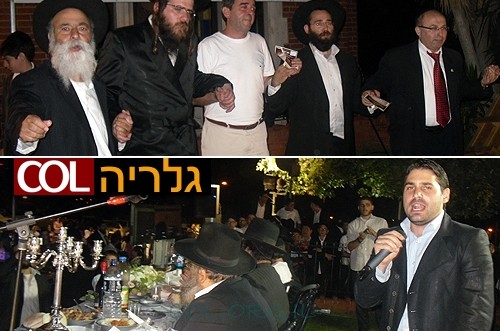 אלפים בהילולת 