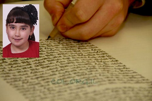 הוחל בכתיבת ספר תורה לזכרה של חנה וינפלד ע