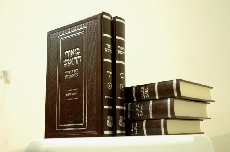 יצא לאור: 