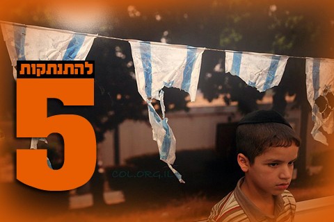 כְּתום המאבק הכתום ● מיוחד