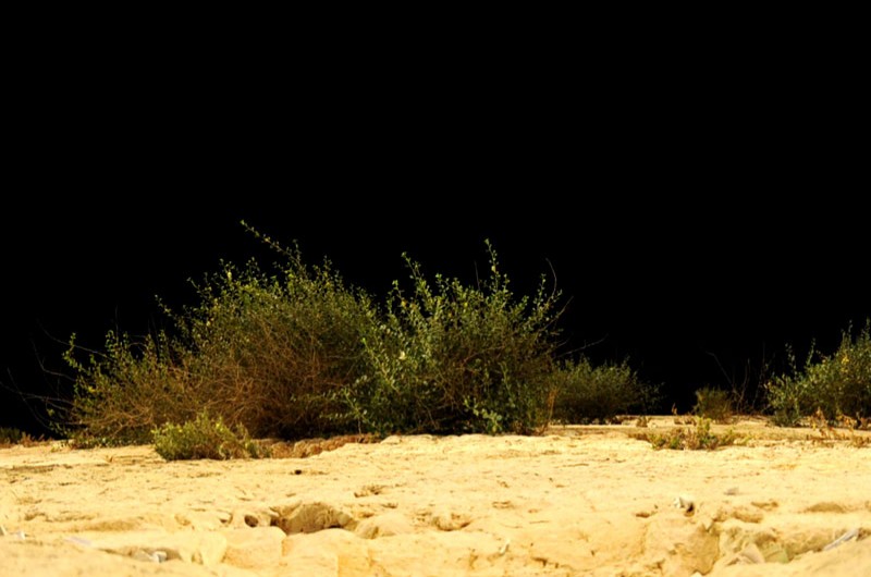 הפיתרון: הכותל ● הכותרת הנבחרת: 