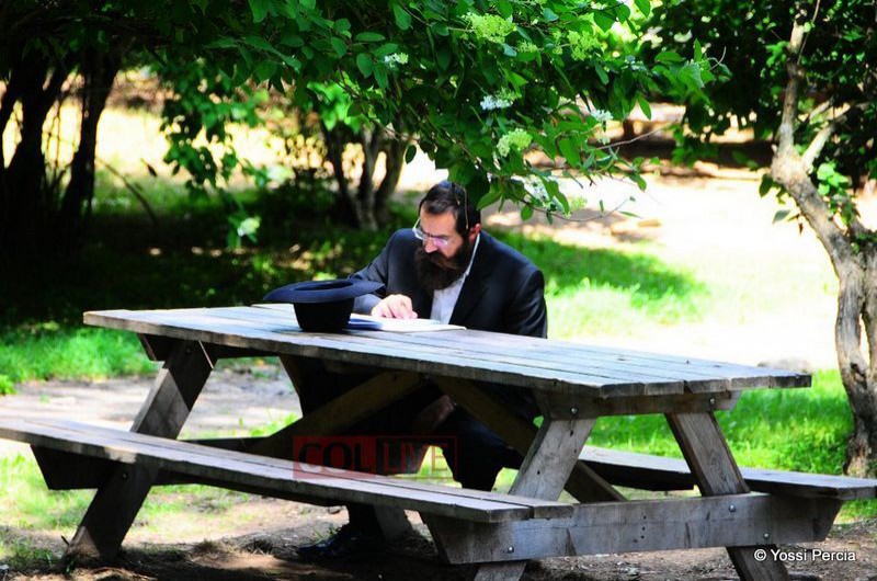 תמונת היום ● ניו-יורק 