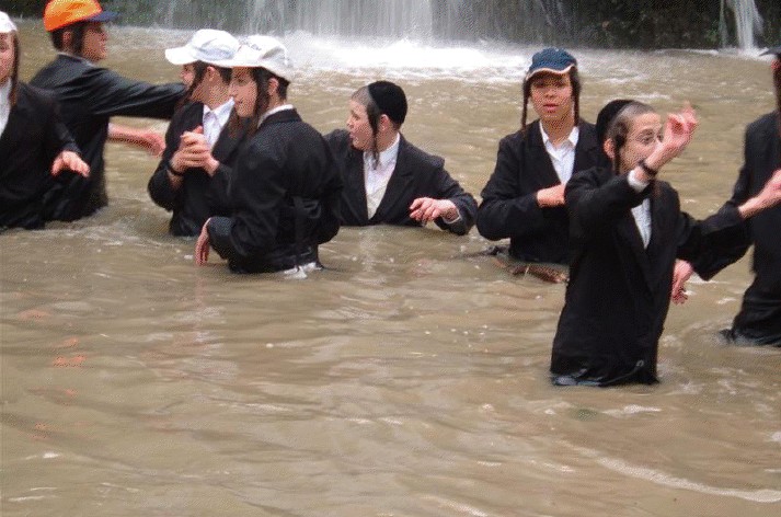 תמונת היום 