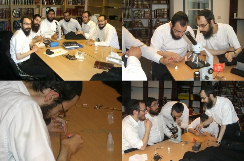 האברכים למדו על שעטנז באמצעות מקרוסקופ ● סיקור, תמונות 