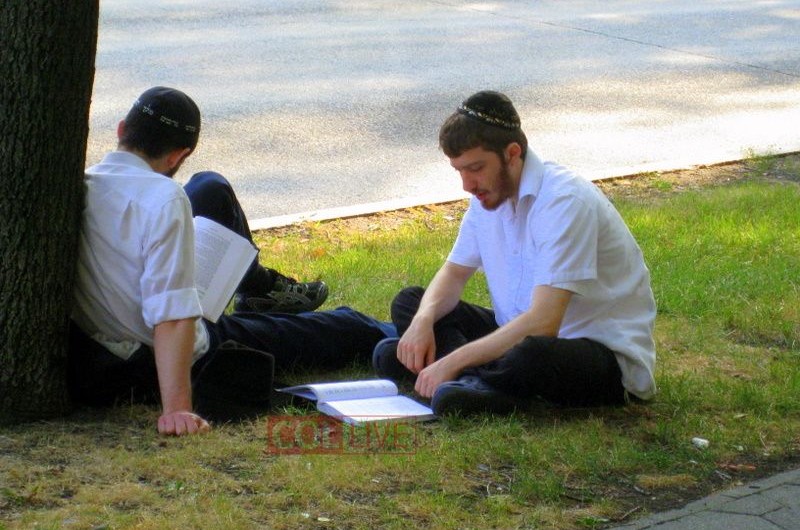 תמונת היום ● ניו יורק