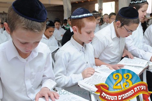 מהפכה במוסדות חב