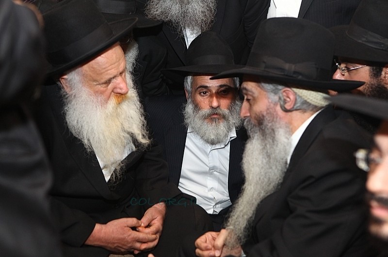 רבני חב