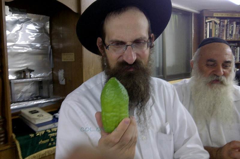 תמונת היום ● נחלת הר-חב