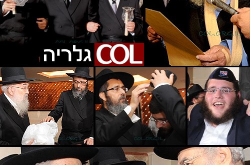 חתונת פרוס-אזימוב ● צפו בגלריה