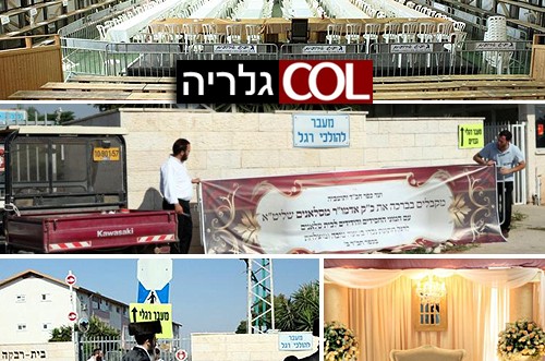 אלפי חסידי סלאנים נוהרים לחתונה בכפר-חב