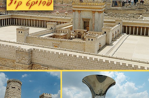 מטיילים עם COL: בואו לסיור מצולם במוזיאון ישראל ● גלריה