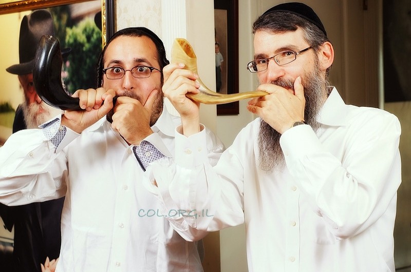 תמונת היום 
